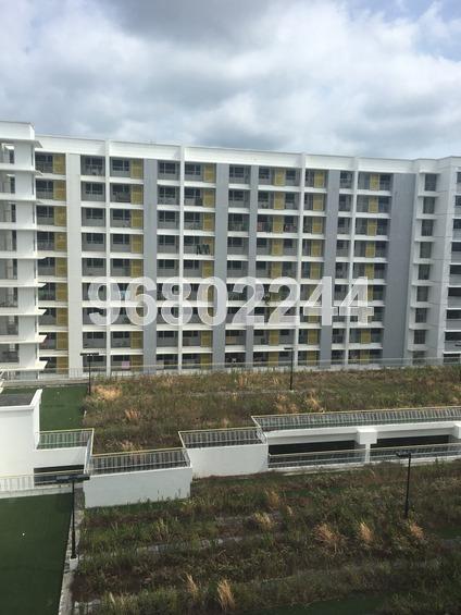 Blk 499B Tampines Avenue 9 (Tampines), HDB 2 Rooms #170275252